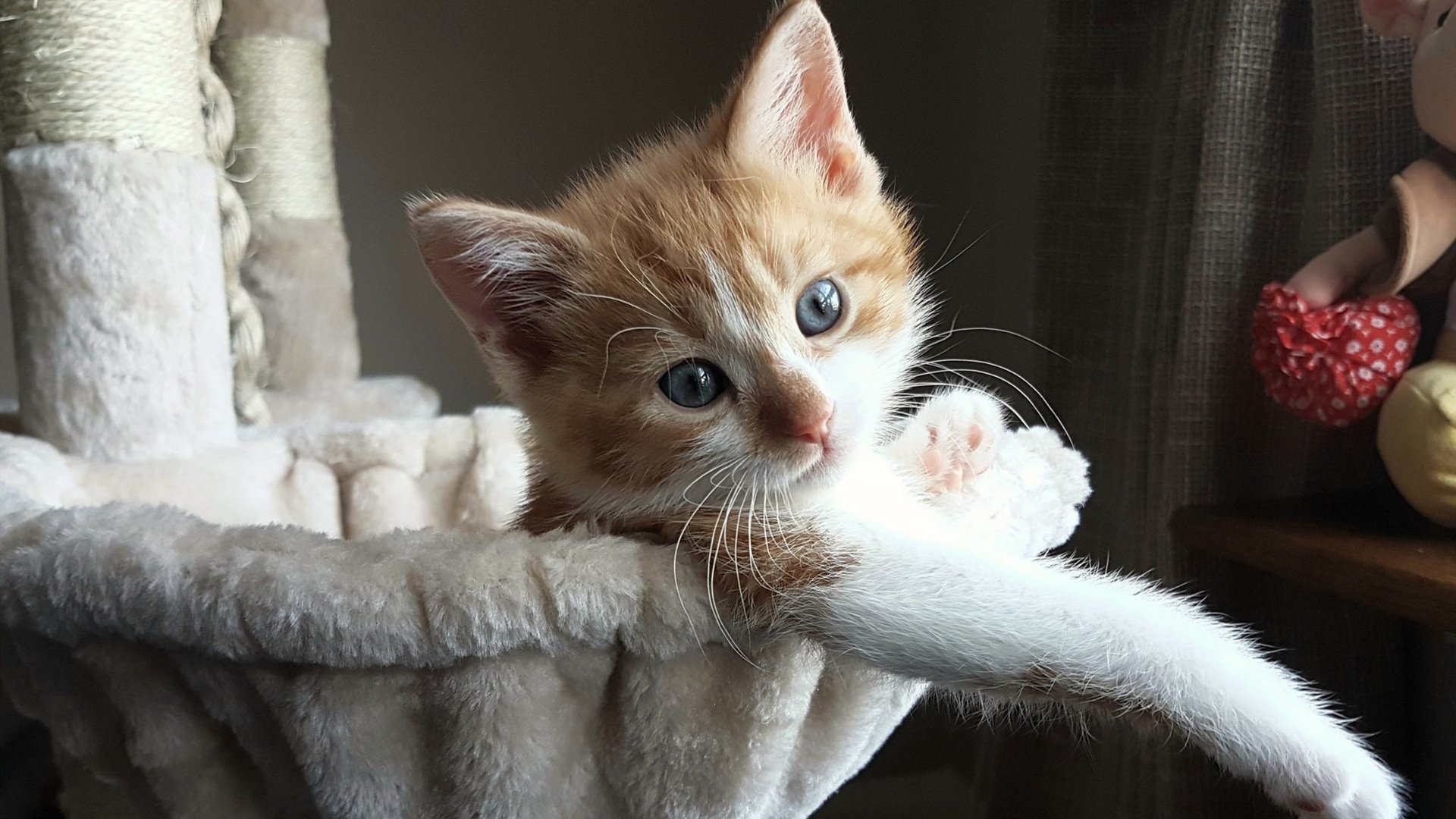 绝境3.2秒！灵魂出窍的西亚卡姆，用一记救赎让浙江队看见地狱