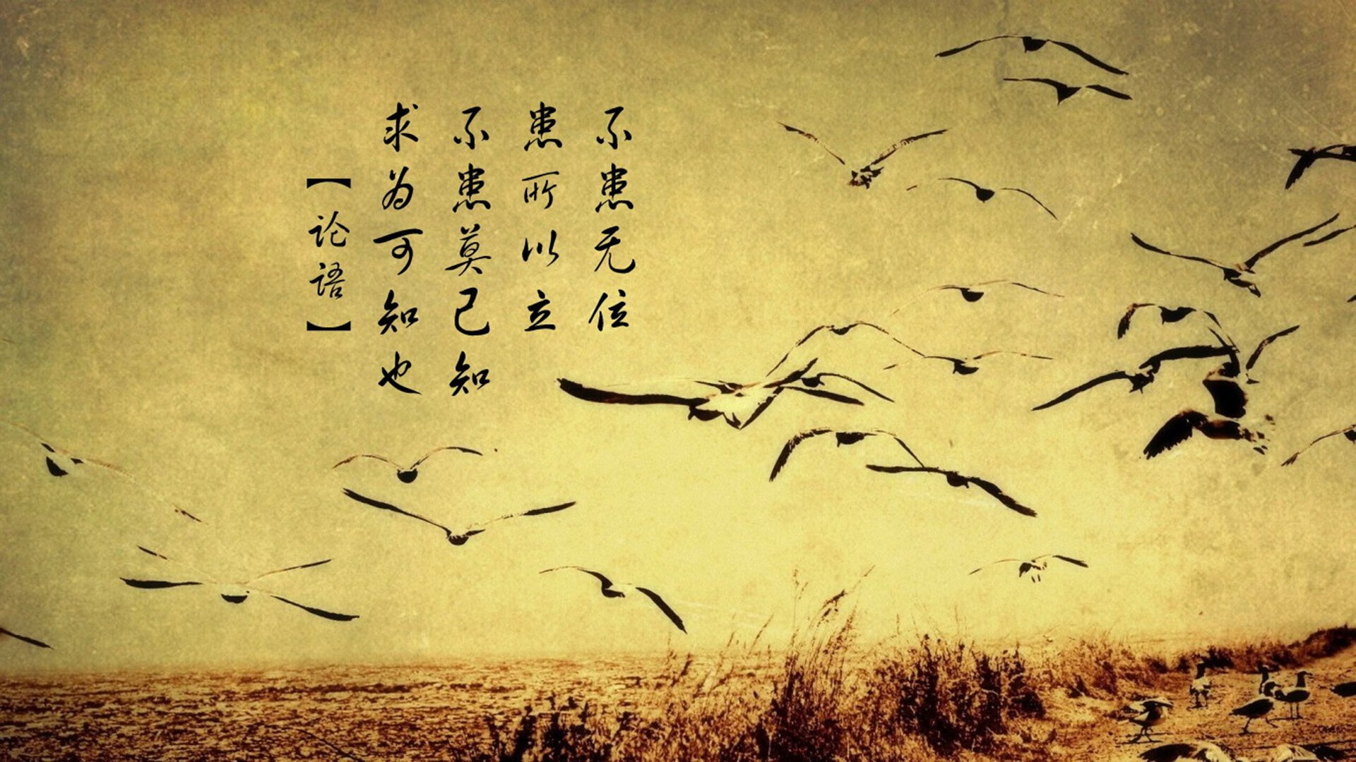 雷火电竞亚洲先驱-皮克，当优雅与草莽碰撞，关键战他绝不手软